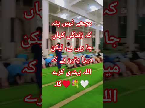 Mirza Galib New poetry 💔🥹 for YouTube shots video Hafiz AbdulRaheem 53 #mirzagalib