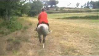 preview picture of video 'Promenade à cheval'