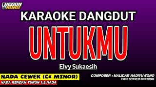 Download lagu UNTUKMU KARAOKE DANGDUT - ELVY SUKAESIH mp3
