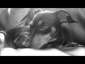 Stick In The Mud © Original Song