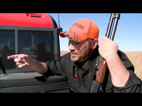 Does The 28-Gauge Outdo the 12?