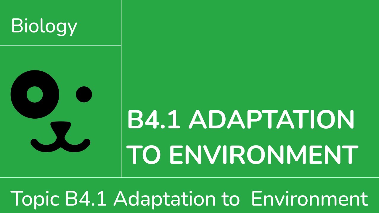 B4.1 Adaptations to the Environment [IB Biology SL/HL]