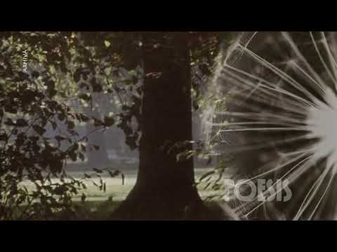 Poesis: Ovidiu Iuliu Moldovan - Rugăciune de Nichita Stănescu  (@Arhiva TVR)