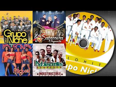 GUAYACAN, GRUPO NICHE, ADOLESENTES, GALY GALIANO - SALSA QUE HIZO HISTORIA MIX - SALSA ROMANTICAS