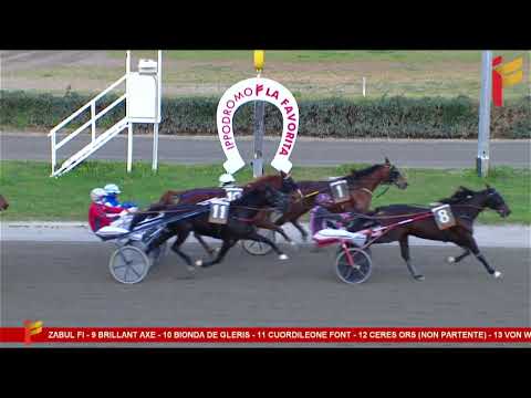 VII corsa del 22 febbraio 2023 - 5 Anni ed oltre - Metri 2000/20/40 - TQQ