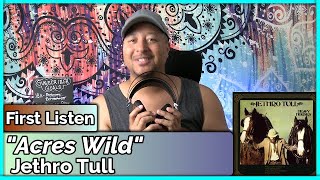 Jethro Tull- Acres Wild REACTION &amp; REVIEW