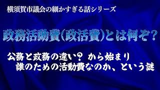 【いま都議会でアツい政務活動費】さとうさおり都議が問題視する「政活費」の在り方について、様々な見方で解説します