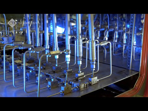 Mango Multimedia video.