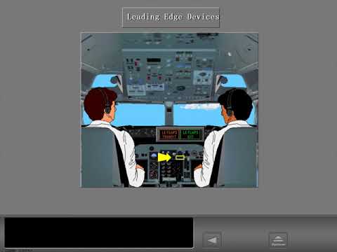 2 Secondary Flight Controls   LE Devices TE Flaps