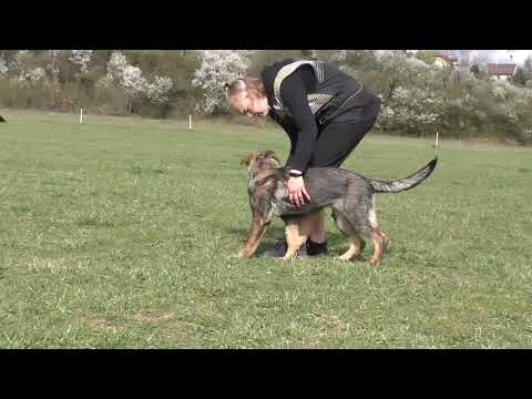 Hannah Erpemos 4,5 měsíce