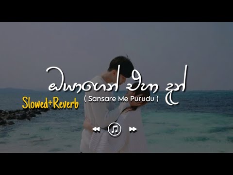 Oyagen Eha Dan - ඔයාගෙන් එහා දැන් (Slowed+Reverb)