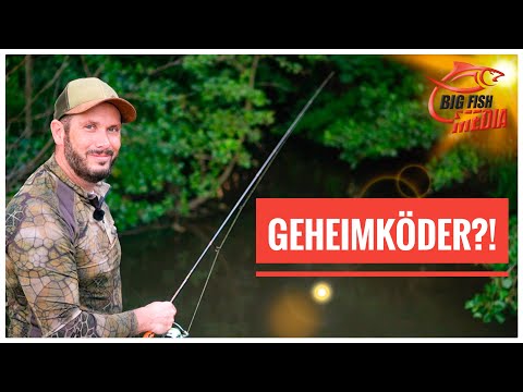 Nachtangeln unter dem Kirschbaum - Neuer Geheimköder?! - Rekordfisch