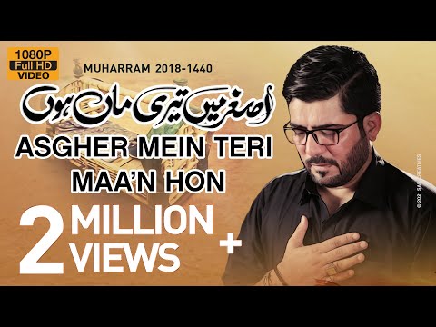 Nohay 2018 | Asghar ع Main Teri Maa Hun | Mir Hasan Mir Noha 2018 | Babul Hawaij | Nohay 2019