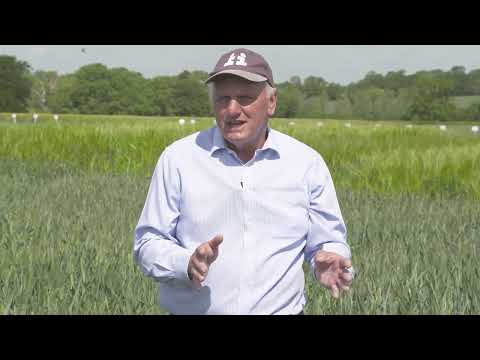 KWS Palladium G2 2021 South