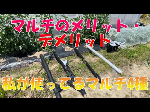 どのような種類のマルチを選択すればよいですか?さまざまなマルチの利点  庭園