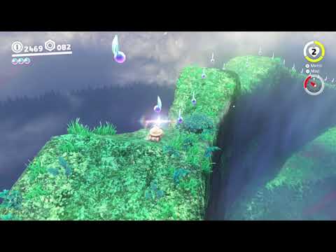 Wooded Kingdom Power Moon 67 - Taking Notes On Top Of The Wall