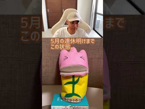 パキラの花の作り方は？理想的な状態を作り出すために、次の 5 つのメンテナンスのヒントに従ってください。  庭園