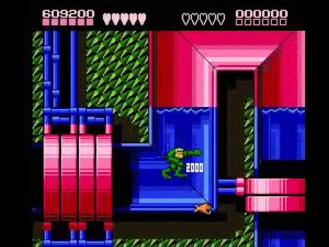 Battletoads (NES) - Terra Tubes (Stage 9)