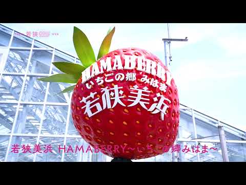 若狭美浜HAMABERRY～いちごの郷みはま～