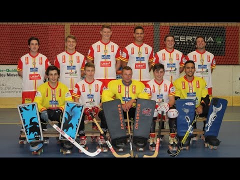 Schweizermeisterschaft 15/16 NLA RHC Wimmis vs Montreux HC