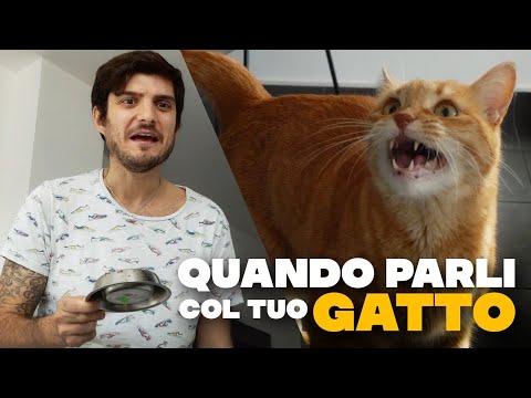 WHEN YOU TALK TO YOUR CAT