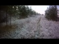 Охота на лося (видео выстрела) 