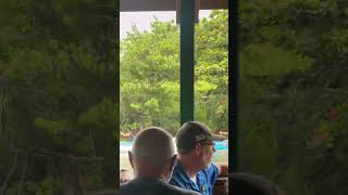 #cruise #adventure #funtimes #vacation #travel #travelphotography #vlog #blog #cruiseadventure