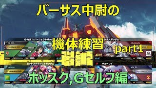 【ガンダムバーサス】中尉の機体練習ホッスク、Gセルフ視点part1