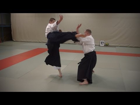 Aikido: Stephane Goffin - Nage Waza and Application