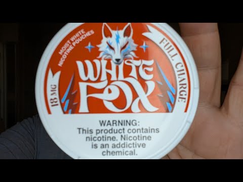 White Fox Full Charge Nicotine Pouches Review 