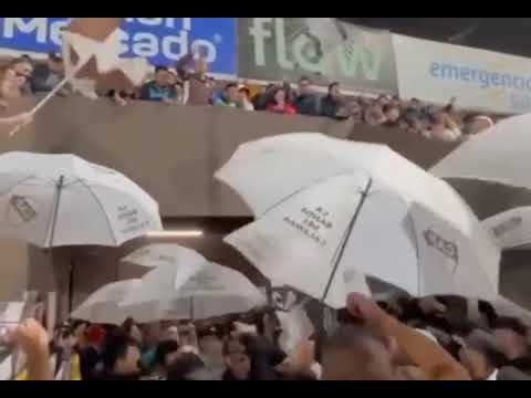 PREVIA DE LA GENTE DEL CALAMAR 🦑 PLATENSE🟤⚪🟤