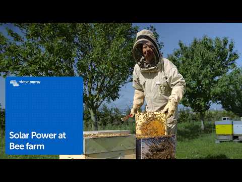 Honey Production in French Champagne Region using Solar Power