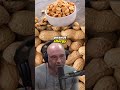 Allergies and the Peanut Dilemma: Joe Rogan Experience #1369