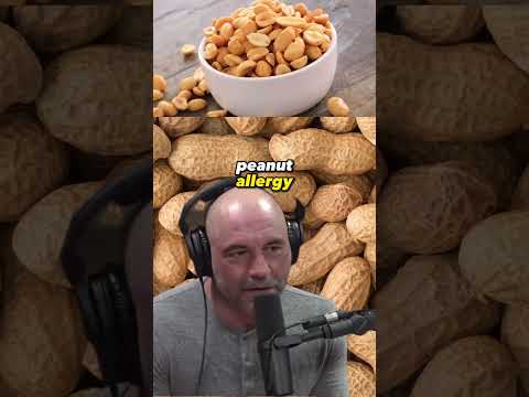 Allergies and the Peanut Dilemma: Joe Rogan Experience #1369