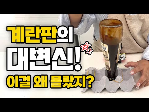 플라스틱 달걀 케이스를 재활용하는 놀라운 방법