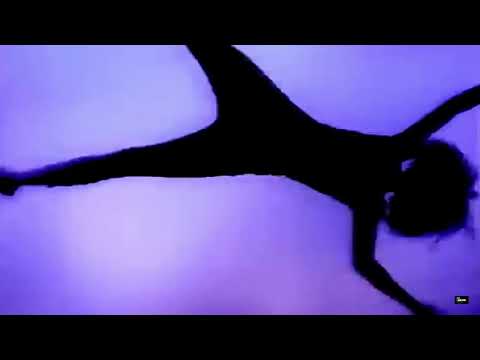 Tom's Diner Rap   After One Ft Suzanne Vega Ft DNA   Dj Pepe