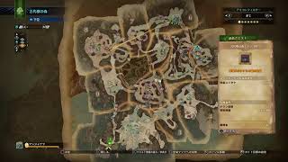 MHW　ペアプレイ　そのいち