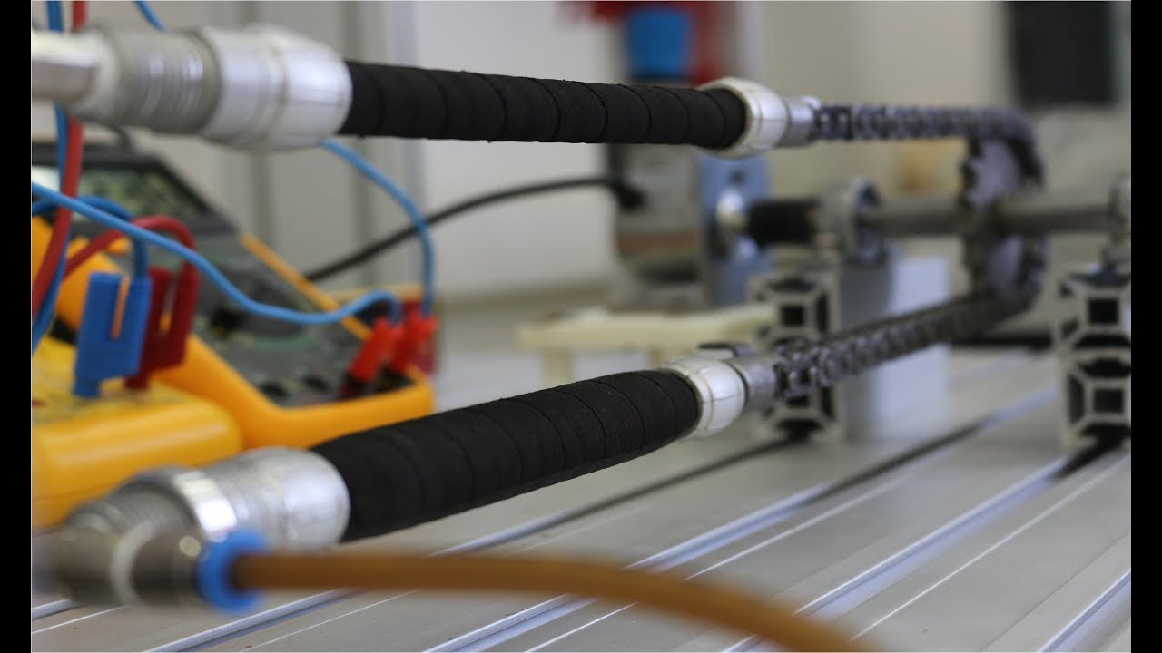 EMG Acquisition System for Antagonistic PAM Mechanisms