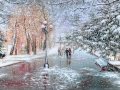 Стефан ВОРОНОВ - Сняг бавно пада (Tombe la neige) 
