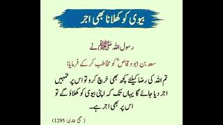 #بیوی كو كهانا كهلانا#