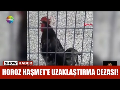 Horoz Haşmet'e uzaklaştırma cezası!