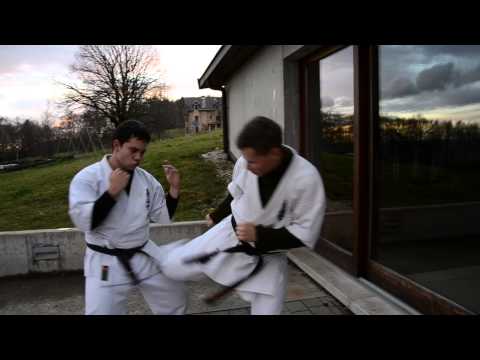 Kyokushin 4th Swiss Winter Camp