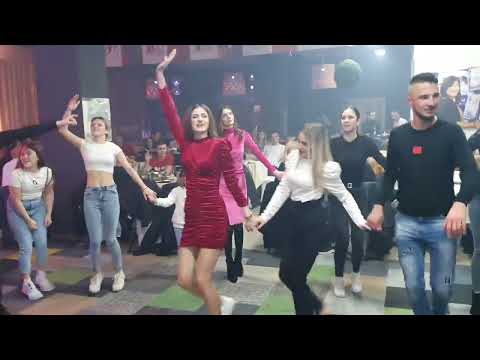 🔴 Kolo za Adnu pračansku Vilu - Leyla Leky - Hotel Heco Plus Sarajevo - Bosanski teferič