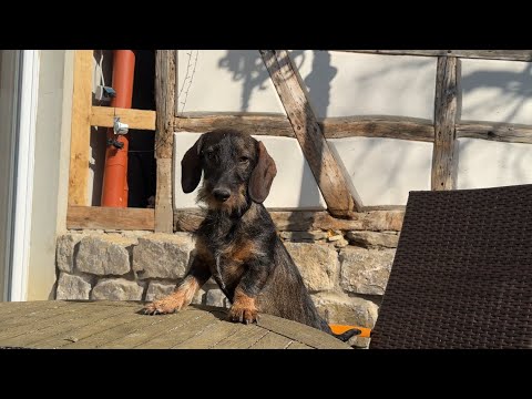 Leopold plädiert für Gleichberechtigung