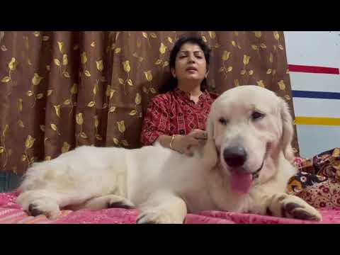 Practicing Singing With Enzo | Amrita De | Amrita De-Official