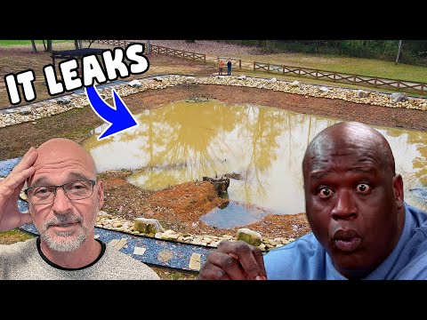 Shaq Needs HELP Fixing His Pond