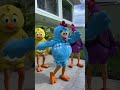 Dançarinos De Milhões Galinha Pintadinha Shorts
