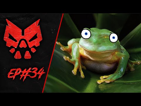 Frogs are friends - GOONS #34