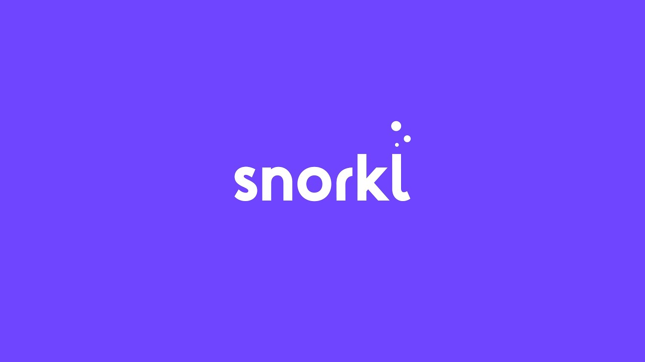 Meet Snorkl: Instant Feedback on Student Thinking