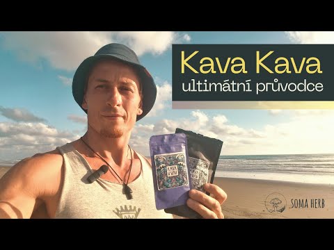 Kompletní průvodce: Kava Kava – účinky, příprava, 10 let praxe s pepřovníkem opojným